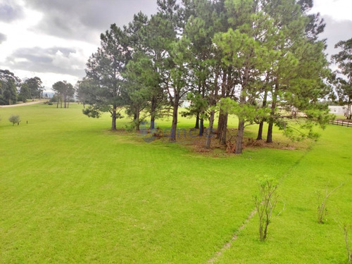 Imagen 23 de 26 de En Venta Casa En Chacra El Quijote- La Barra