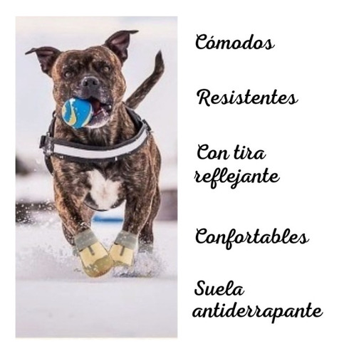 Botas Para Perro Antideslizantes Y Transpirables Reflectante