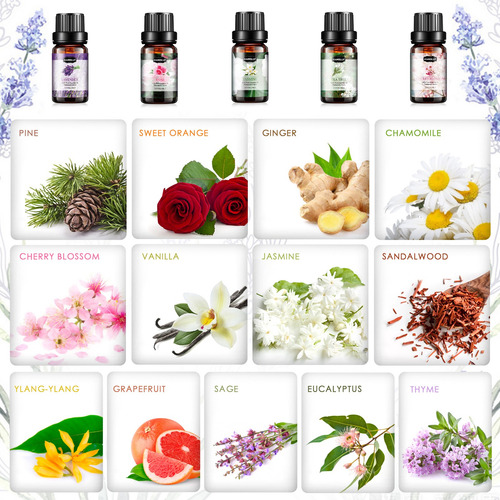 Nature Kit De 26 Aceites Esenciales Para Difusor Y Spa 5 Ml