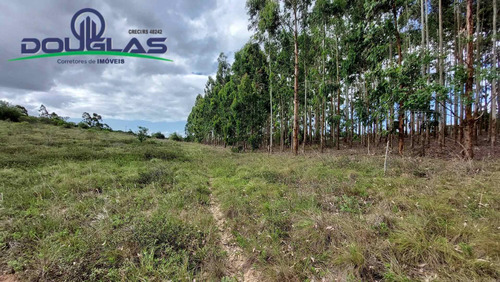 Imagem 3 de 15 de 4 Hectares Ótima Localização - 1714