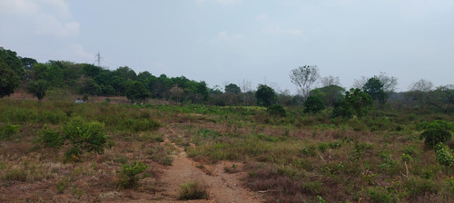 Terreno En Renta De Terreno A Pie De Carretera En Sebastopol Tuxtepec Oaxaca