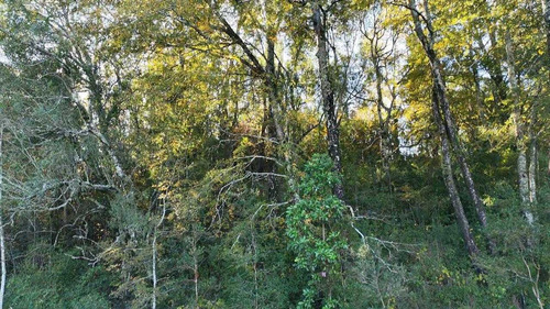 Campo En Venta Inversionista Pitrufquen (104143)
