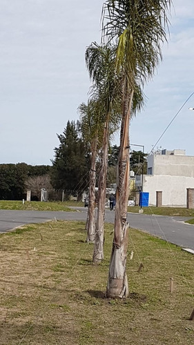 Imagen 10 de 14 de Terreno En Venta En Sourigues