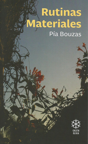 Rutinas Materiales, De Pía Bouzas. Editorial Caleta Olivia, Tapa Blanda, Edición 1 En Español, 2023