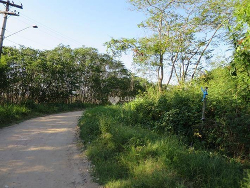Imagem 2 de 5 de Terreno À Venda, 1425 M² Por R$ 784.000,00 - Engenho Do Mato - Niterói/rj - Te3540