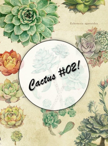 Cactus #02! Lámina Decoupage Autoadhesiva 30 X 42 Cm