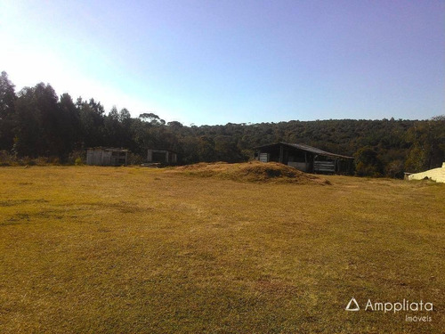 Chácara Com 4 Dormitórios À Venda, 10000 M² Por R$ 1.000.000,00 - Butiá - Campina Grande Do Sul/pr - Ch0010