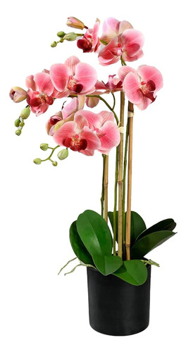 Espacios Serenos Vivir 3 Orquídeas Phalaenopsis Realistas Ro