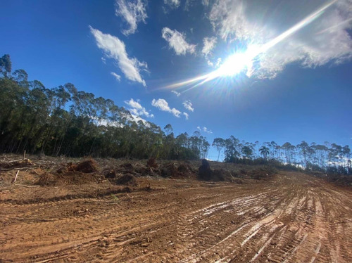 Imagem 14 de 14 de A01- 1500m2 De Terreno Plaino Em Ibiuna!