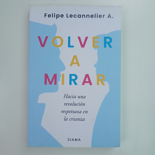 Volver A Mirar. Felipe Lecannelier