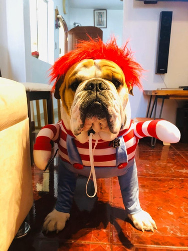 Disfraz De Chucky O Tiffany Para Mascotas