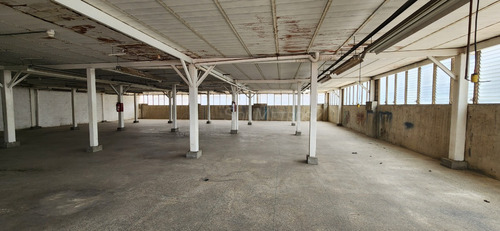 Piso Industrial Depósito Alquiler Ruiz Pineda 610 Mts2 B-9qnx 1606