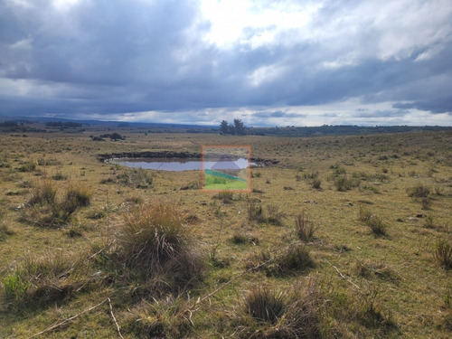 Imagen 9 de 30 de 79 Hás Campo Criador Y Serrano En Corte De La Leña