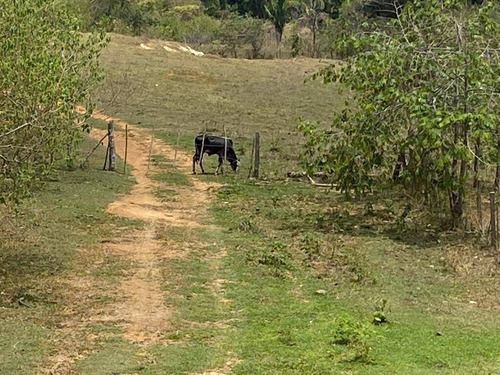 Imagen 20 de 30 de En Venta Granja Automatizada Y Finca De Ganado 142638 Andres Peña
