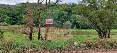 Imagem 9 de 10 de Terreno - Ref: 6309 - V-6309