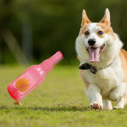 Juguete Para Botella De Agua Para Perros Juguetes Para Masti