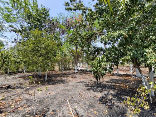Terreno En Venta En Veracruz Con Casa De Descanso Loc. Palo Gacho.