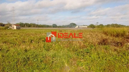 Imagem 3 de 7 de Área - Terrenos Para Empreendimento Frente Para Rodovia - 661