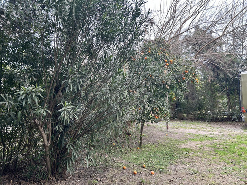 Venta. Casa 3 Ambientes. Parque Sakura. Exaltacion De La Cruz