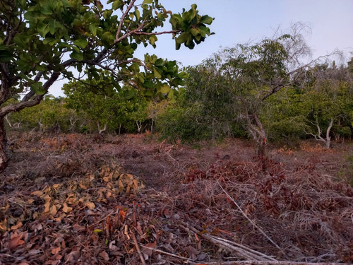 Vende-se Terrenos Em Corumbau Prado Bahia