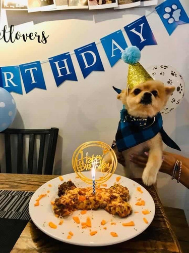 Kit De Cumpleaños Para Perro