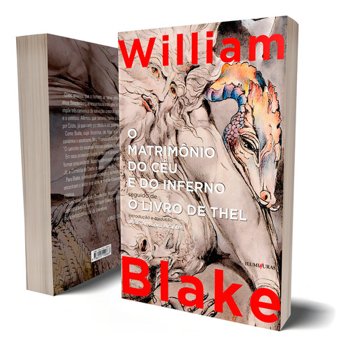O matrimônio do céu e do inferno: seguido de O livro de Thel, de Blake, William. Editorial Editora Iluminuras Ltda., capa mole em português, 2020