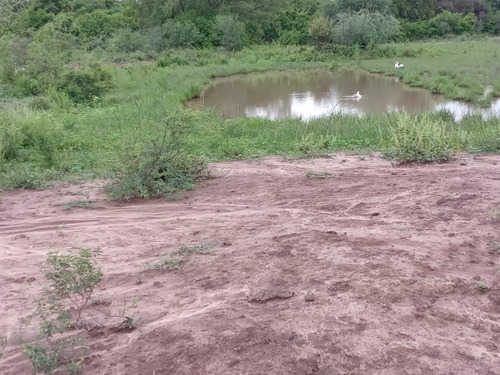 Campo Sobre Ruta