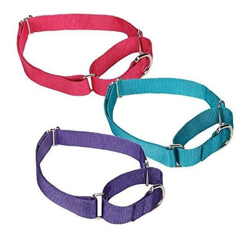 Collar De Nylon Perro Guardián Engranaje Martingala, Se Ajus