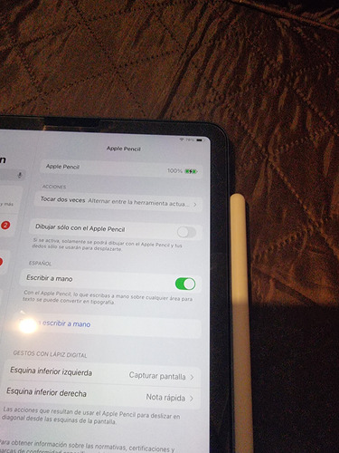 Apple Pencil 2da Gen. Blanco, Compatible Ipad Pro (Usado)