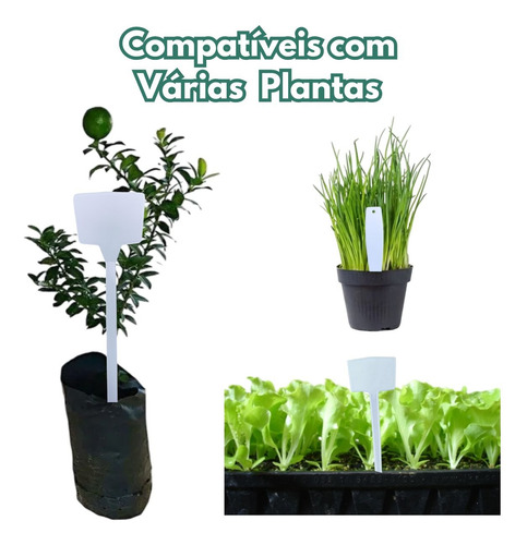 Kit 50 Plaquinhas 22cm Para Identificação De Plantas Hortas