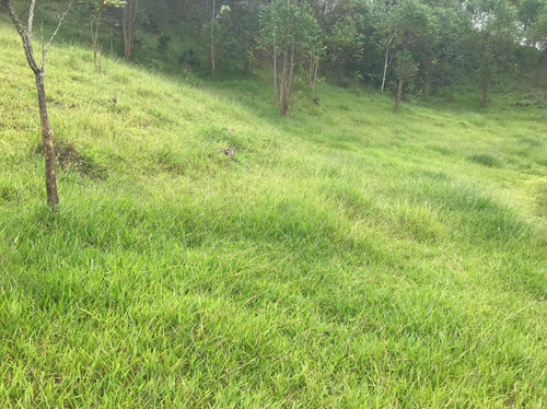 Imagem 6 de 14 de A26- A Hora É Agora!! Corre.