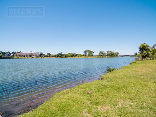 Imagen 12 de 15 de Lote En Venta , La Mejor Orientación Norte, Laguna Central.- La Isla Nordelta