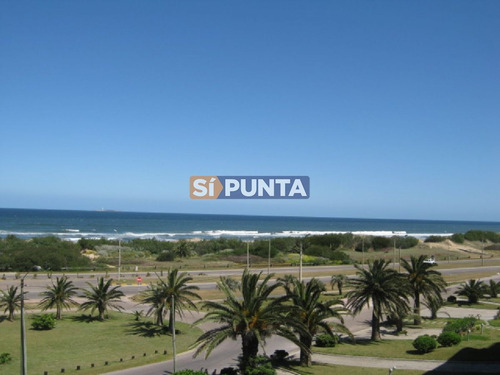 Imagen 3 de 6 de Playa Brava En Venta Y Alquiler