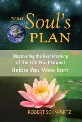 Your Soul's Plan - Robert Schwartz (paperback)&,,