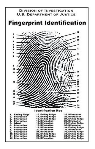 Gráfico De La Escena Del Crimen De Huellas Dactilares.