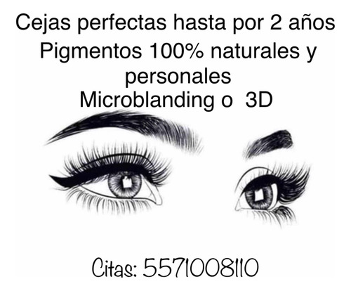 Curso Microblanding Y Permanente