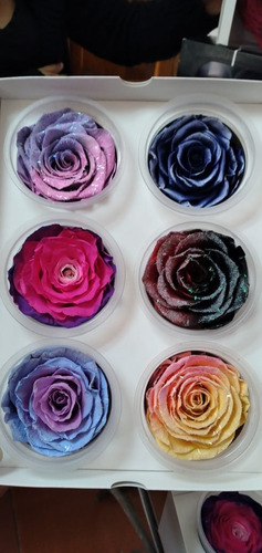 Imagen 3 de 5 de Preserved Roses