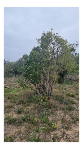 Imagen 8 de 17 de Terreno En Venta En La Barra