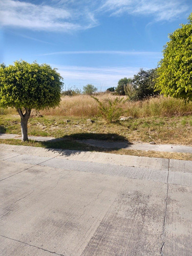 Imagen 3 de 7 de Cañada Del Refugio Vendo, Hermoso Lote Plano