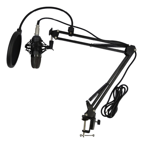 Schalter Set Microfono Condensador Antipop Estudio Podcast Color Negro