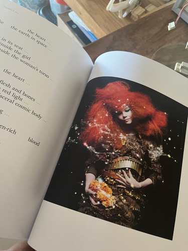 Björk Archives