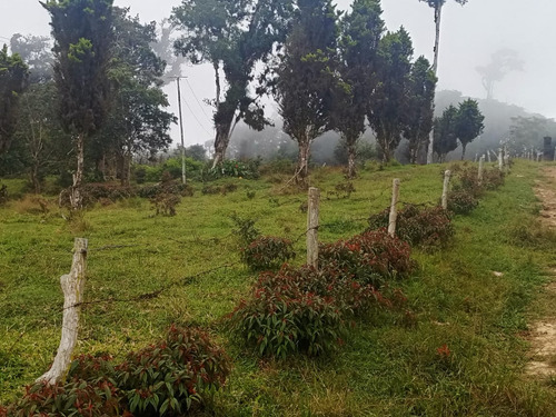 Finca En Venta Aldea La Montaña-lobatera/im