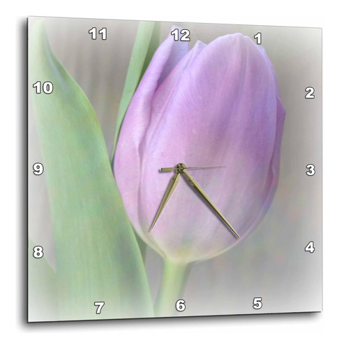 3drose Dpp__2 Pretty Lavender Tulip-flowers-fotografía-reloj