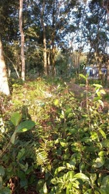 Imagem 5 de 5 de Terreno Com Escritura Medindo 181m² De Área Em Itanhaém Sp