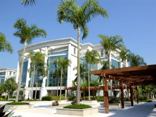 Imagem 11 de 16 de Comercial/industrial - Ref: Bs00857