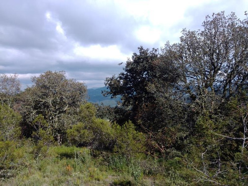Imagen 2 de 10 de Terreno En Venta Construye El Lugar De Tus Sueños En Hermoso Fraccionamiento!!!