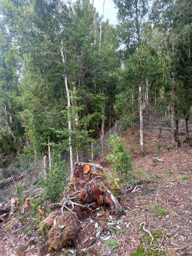 Parcela En Venta En Las Chilcas, Maullín