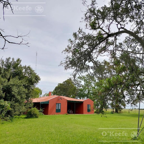 Imagen 10 de 20 de Campo En Venta 120 Has En Mercedes - Mixto Con Casco