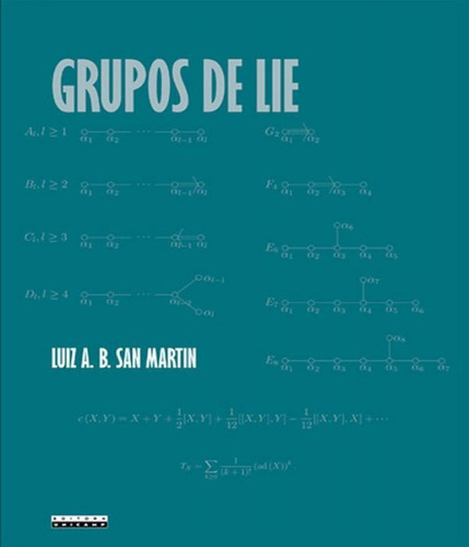 Grupos De Lie, De Martin, Luiz San. Editora Unicamp, Capa Mole, Edição 1 Em Português
