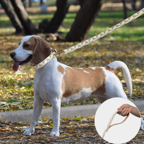 Collar De Cuero Para Perro Y Correa De 4 Pies, Collar Básico